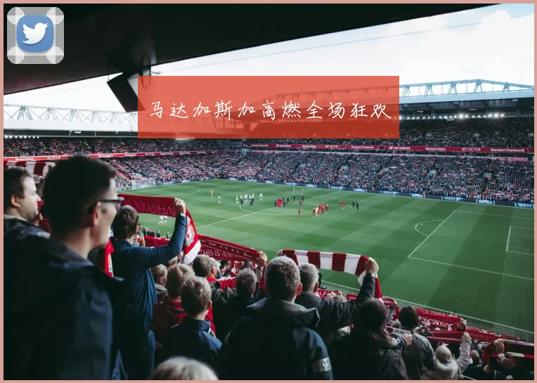 马达加斯加高燃全场狂欢