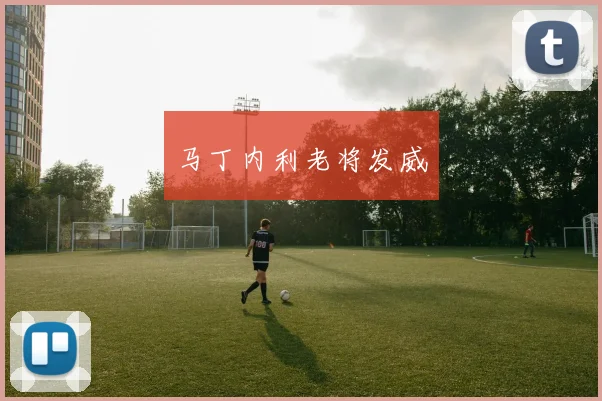 马丁内利老将发威