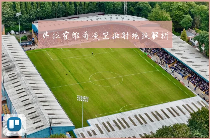 弗拉霍维奇凌空抽射绝技解析