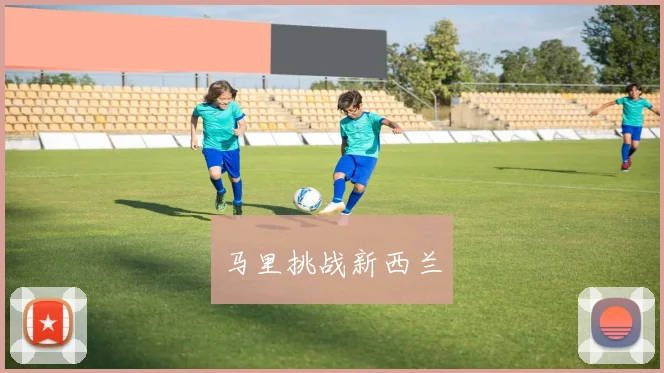 马里挑战新西兰