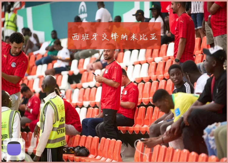 西班牙交锋纳米比亚