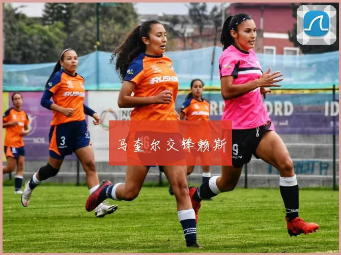 马奎尔交锋赖斯