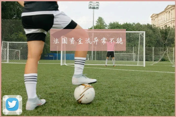 法国资金流异常不稳