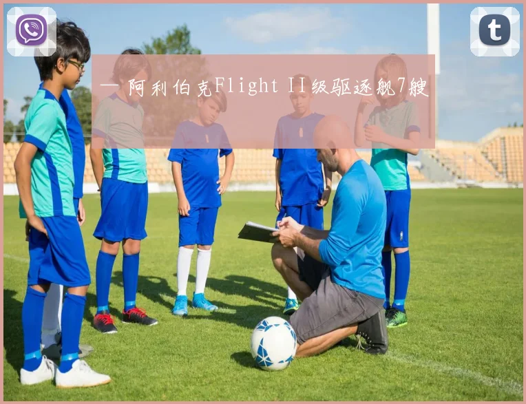 — 阿利伯克Flight II级驱逐舰7艘