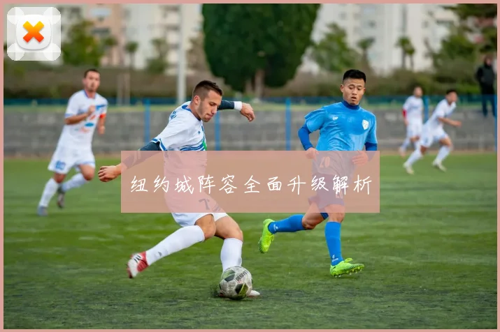 纽约城阵容全面升级解析