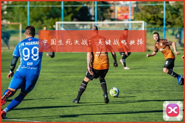 中国生死决战：关键战略抉择