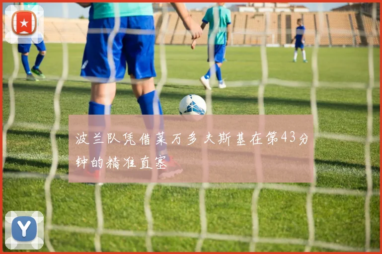 波兰队凭借莱万多夫斯基在第43分钟的精准直塞
