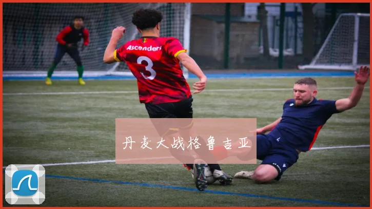 丹麦大战格鲁吉亚