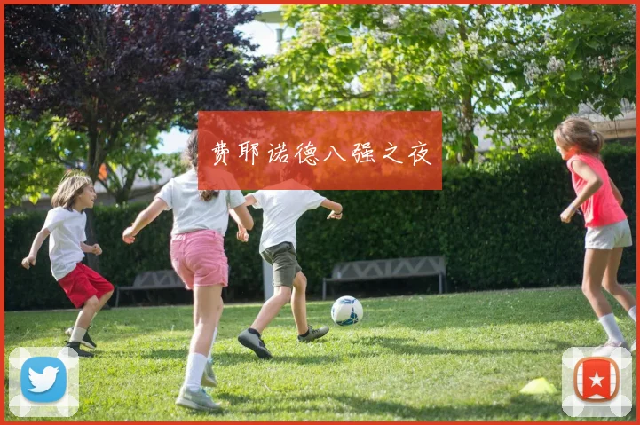 费耶诺德八强之夜