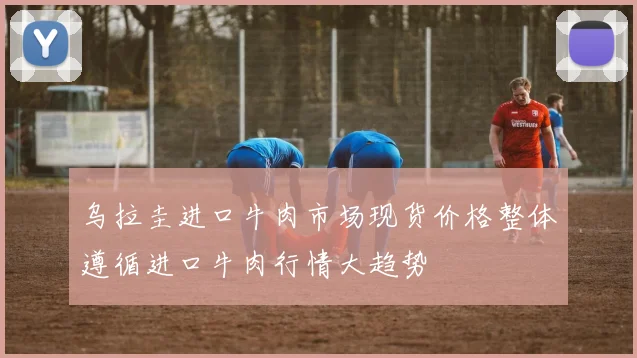 乌拉圭进口牛肉市场现货价格整体遵循进口牛肉行情大趋势