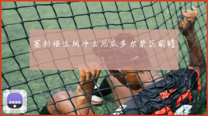 塞科福法纳冲击厄瓜多尔禁区前瞻