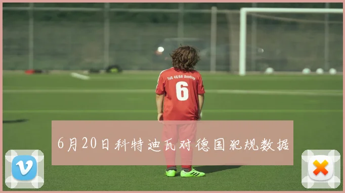 6月20日科特迪瓦对德国犯规数据