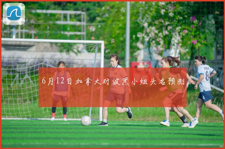 6月12日加拿大对波黑小组头名预测